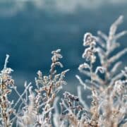 Miten pukeutua talvihäihin 2024